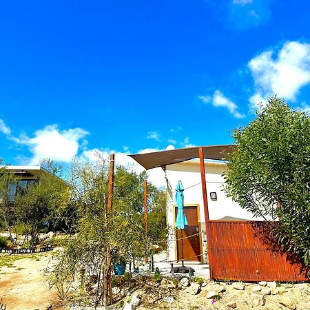 Oasis 444 Hotell San Marcos  Exteriör bild